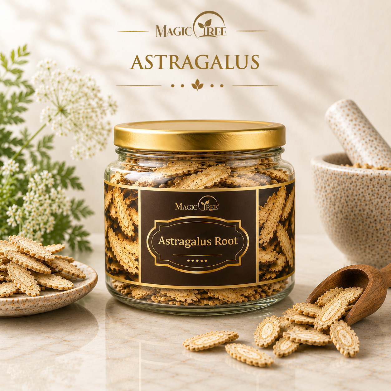 Astragalus Root
