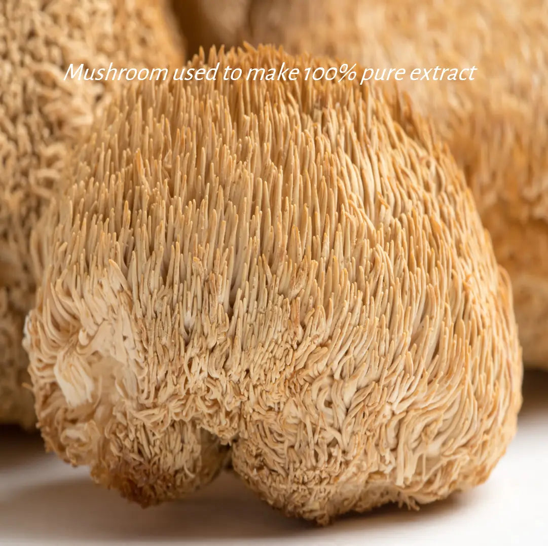 Deluxe Lions Mane Mushroom Extract