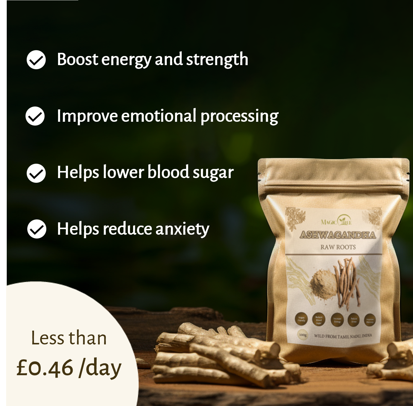 Nootropic Brain Boost
