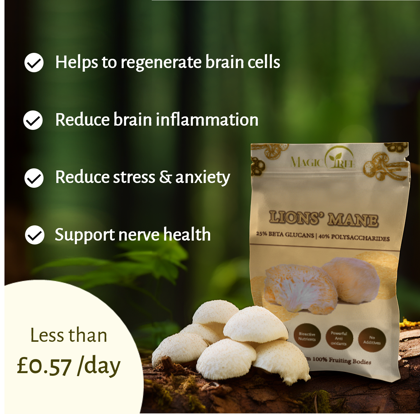 Nootropic Brain Boost