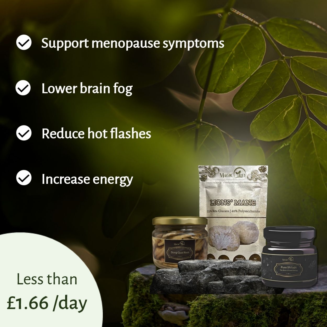 Menopause Mend