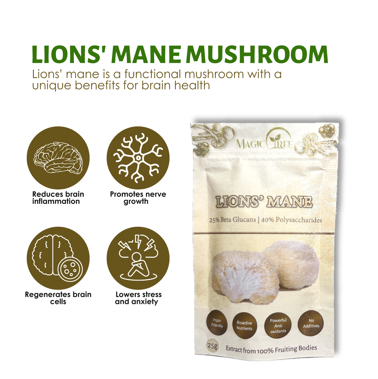Lions Mane Mushroom Extract