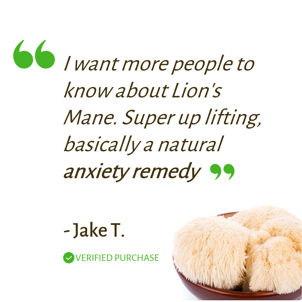 Deluxe Lions Mane Mushroom Extract
