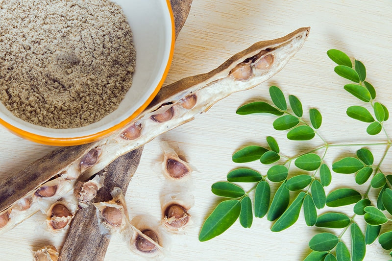 12 Health Benefits of Eating Moringa Every Day 