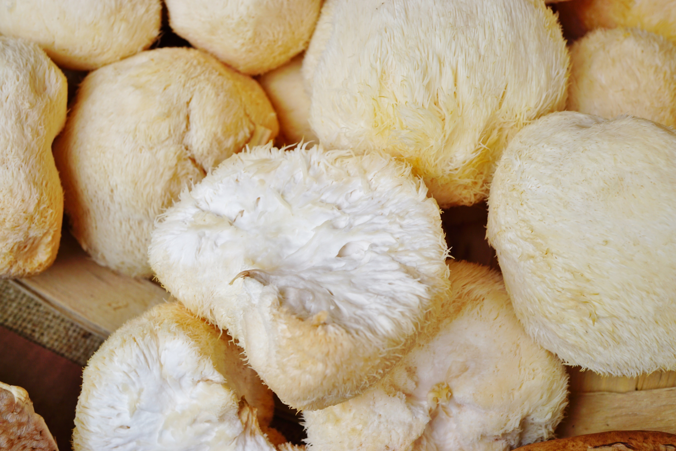 7 Amazing Reasons To Try Lions Mane Mushrooms