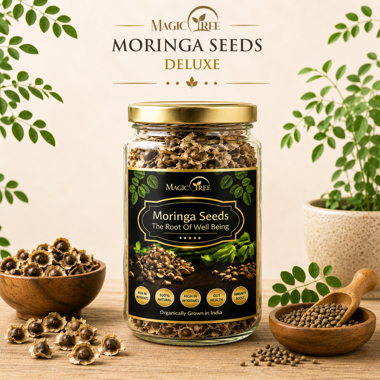 Moringa Seeds Deluxe