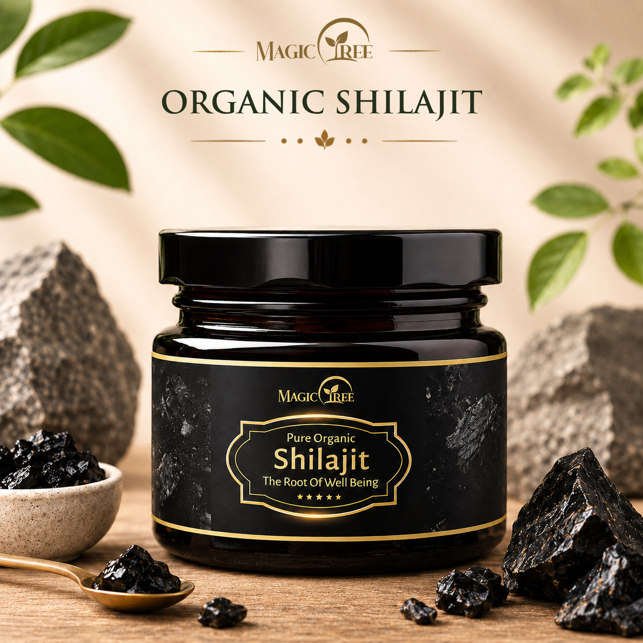 Himalayan Organic Shilajit